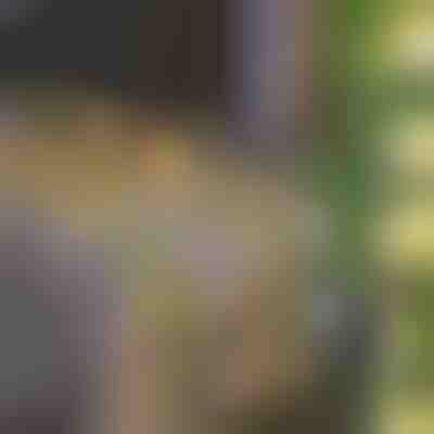 Instalație solară cu frunze artificiale de iederă (5 m) | LEAFGLO