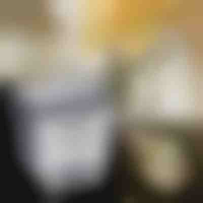 Coș de gunoi pliabil pentru bucătărie | FLEXBIN