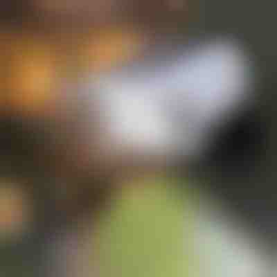 Lampă solară tip cameră cu senzor de mișcare | LUMACAM