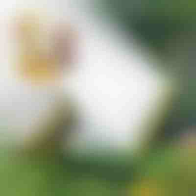 Aspersor cu mai multe capete | SPRAYMASTER