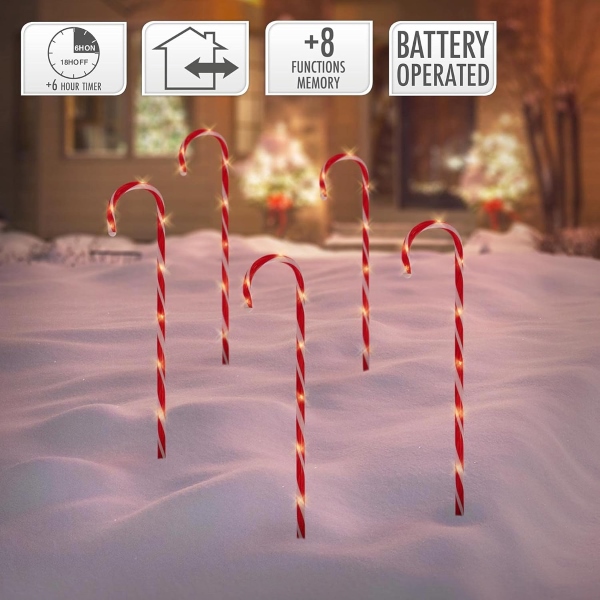 JOLLYCANE21691__080725